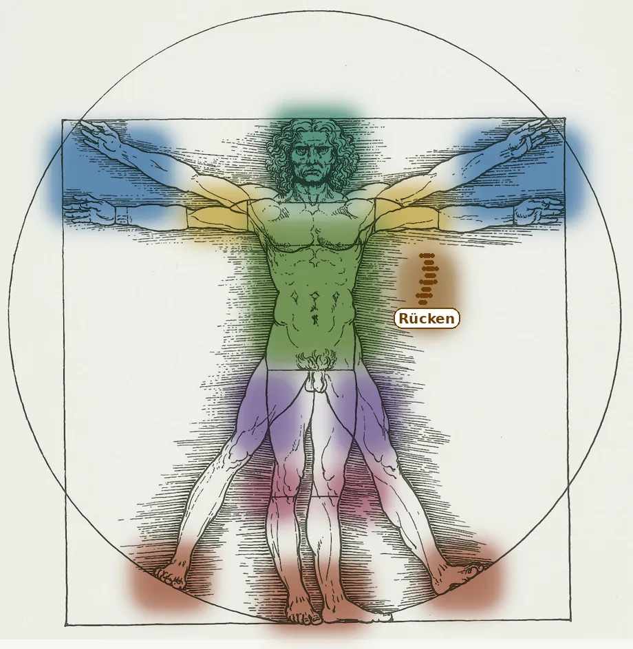 Vitruvian Man – anatomical illustration after Leonardo da Vinci. Click on a body region to see matching services.